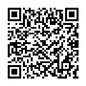 最后不得不轮到和其他两族一起竞争王位的地步二维码生成