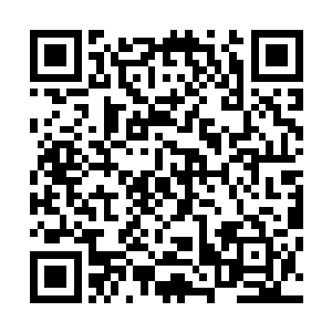 最后不约而同的所有人的目光直接再一次落到了杨戬的身上二维码生成