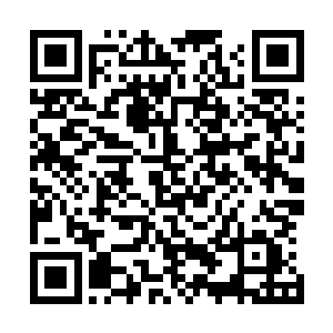 最后两个本该已经姓李的孩子连同他们的父母一同人头滚地二维码生成