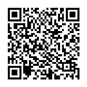 最后也会变成充满观众喜闻乐见元素的带着商业味道的电影二维码生成