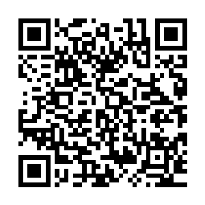 最后停在了一间看起来要比其他院落更加宽敞更加奢华的院落前二维码生成