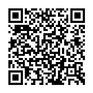 最后凝练出了一根如我的虚无剑一样的虚幻棍子二维码生成