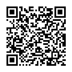 最后剩下的那四个金丹顶峰的高手几乎都在同一时间倒在了地上二维码生成