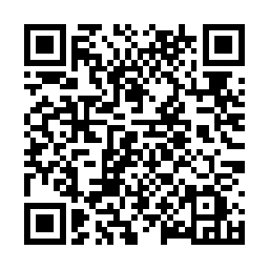 最后剩下邦德他们的那个防御圈子也支撑不了多久二维码生成