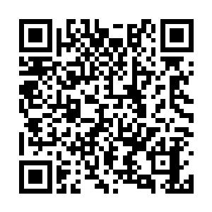 最后动用了孟狞的血液身体内出现一股狂暴的气血二维码生成