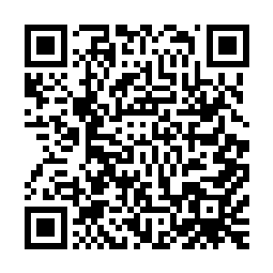 最后变成了一颗火红色的小球――就像是一枚熟透过的西红柿二维码生成