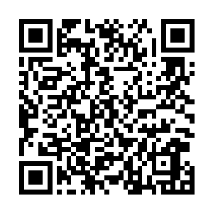 最后变成小怡端着茶几上沉重的玻璃烟灰缸蹲在巴克旁边二维码生成