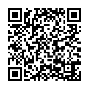 最后变成放声狂笑回荡在这片面目全非的天地间……二维码生成