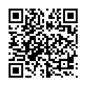 最后地下空洞中只留下严默和那只穿沙甲兄弟二维码生成