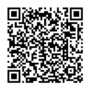 最后孤单寂寞的在黑暗无光地底中结束了她过往长达千年来的自在生活二维码生成