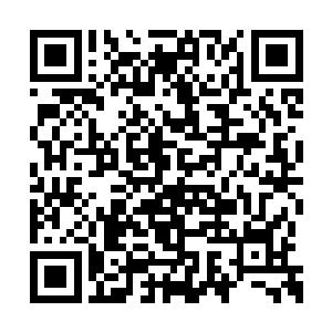 最后孩子的哭声也渐渐消失……失去秩序的世界二维码生成