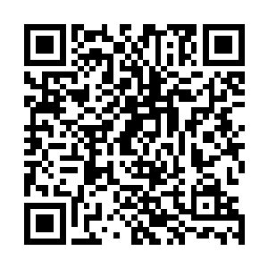 最后将会选出积分最高的十人获得晋级七阶光明圣师的机会二维码生成
