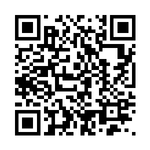 最后就只有捧着白猫的这位最有威胁二维码生成