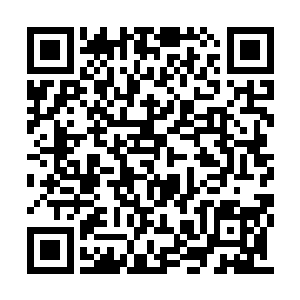 最后带着她的目光流落到角落的那抹萧瑟的身影二维码生成