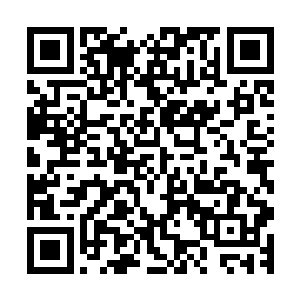 最后才将目光落在了自韩铖出现一脸若有所思的蓝楹几人身上二维码生成
