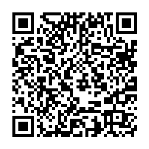 最后才开始检查身上的衣服有沒有在刚才的滚动中撕裂崩坏的地方二维码生成