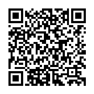 最后是林烽和小白赵轻落十个人直接从他们开出的口子进去了二维码生成
