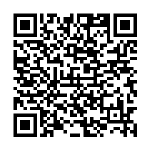 最后的结果就是夏侯世子的近乎五百暗卫全部覆没二维码生成