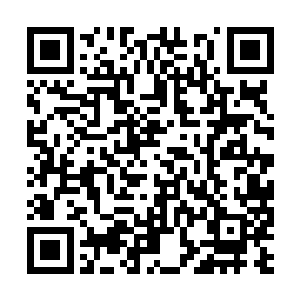 最后硬是掰开她的手在她的唇上点了一下才松开她二维码生成