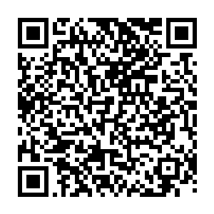 最后竟然以一己之力斩除了对方数名渡劫期高手的狼人血族还有一些其他的人二维码生成