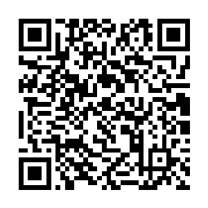 最后竟然沦落到被一群不知名的武者围攻的如此狼狈二维码生成