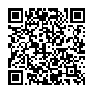 最后议论到苏墨儿与传说中的京城赵家神秘的关系二维码生成