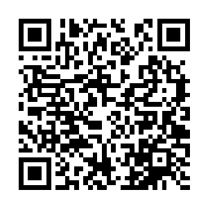 最后谁借取的天地之力更加地庞大谁就获得了胜利二维码生成