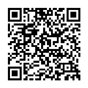 最后走投无路的伯格纳还没来得及喊出一声投降二维码生成