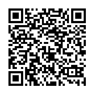 最后还是师公用灵符和树枝在长生周围结了一个隐身阵二维码生成