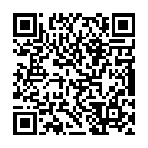 最后还被父母送进技工学院……最后去了工厂工作二维码生成