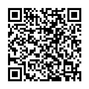 最后这位是被见怪不怪的总经理和巴克一起架着上车的二维码生成