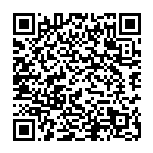 最后这回程的路就演化成贝海开了半路的船然后真的去舱下小睡了一会儿二维码生成