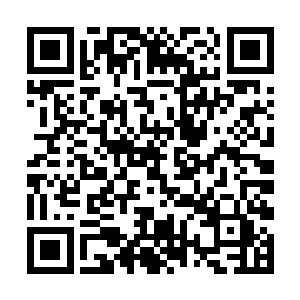 最后除了掌门真人随意安排了两名弟子进入灵谷之外二维码生成