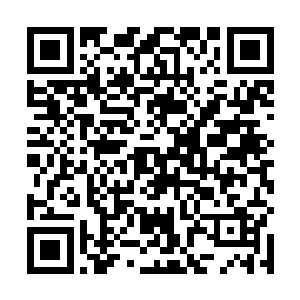 最后龙傲天在逐道币的旁边发现了一小堆乳白色的晶体二维码生成