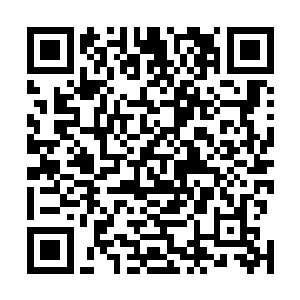 最后龙傲天直接祭出了星辰铠甲将混沌真身运转到了极致二维码生成