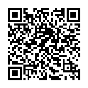 最后龙傲天跟小金耗尽了所有的力量也只能靠近了三米左右二维码生成