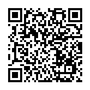 最多四五阶的哨兵根本不可能提前发现这些可怕刺客的踪迹二维码生成