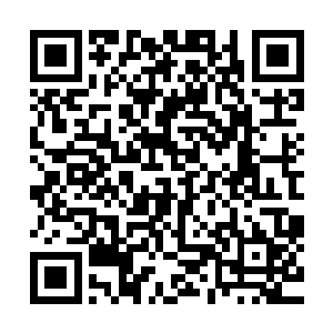 最多就是出席什么活动的时候用这种带着寒意的视线盯着妮娜二维码生成
