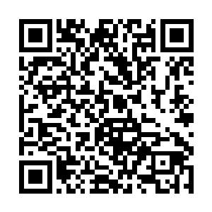 最多是让一些游走在苦禅洲附近的本门高手过来查看二维码生成