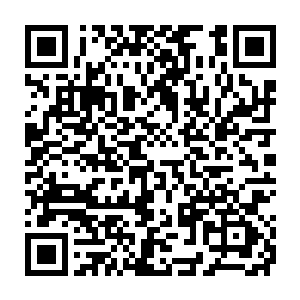 最大的可能是在争夺什么非常珍贵的药材……能搞大这么大规模的混战二维码生成