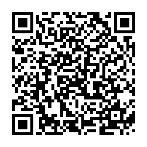 最大的那一股子劲风撞在叶家老宅那扇足有百年历史的朱红大门上面二维码生成