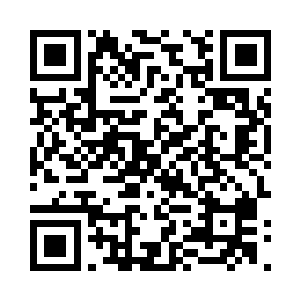 最好我们再顺便打跨几个世界知名的搏击高手二维码生成