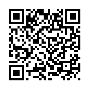 最好的结果也不过是带着小猪离开二维码生成