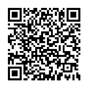 最好的解决办法也就是将他的力量全部封印起来二维码生成