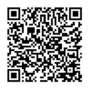 最小的沙罗獭沙牧有点犹豫的看了看另一边的流墨墨小声的对自己两个哥哥开口二维码生成