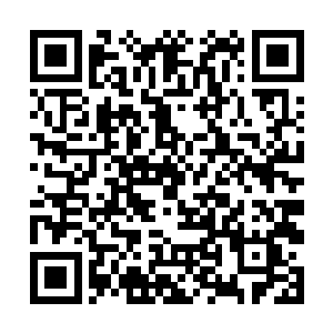 最少上一波的双杀让他们抢回了小龙这一块儿的视野二维码生成