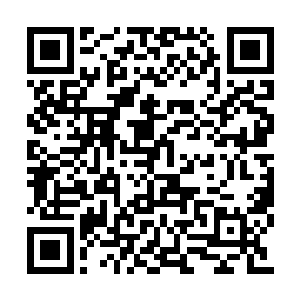 最少也能保留万轮师……至于要恢复原来的修为二维码生成