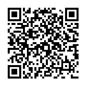 最少张东城从来不会用恶劣的态度和刺耳的语言去训斥他们二维码生成