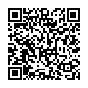 最新章节全文阅读而是米线店里的气场对我太不利了二维码生成