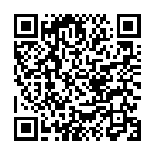 最新章节全文阅读要不是我带的手电筒照着这漆黑的楼道二维码生成